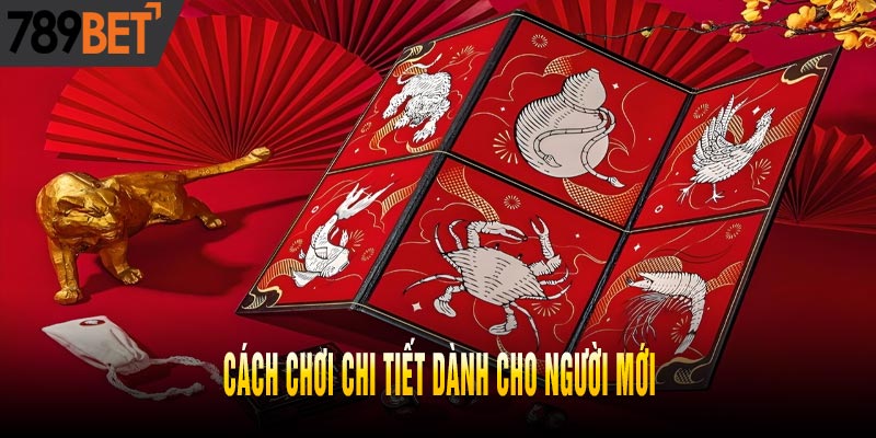 Cách chơi chi tiết dành cho người mới